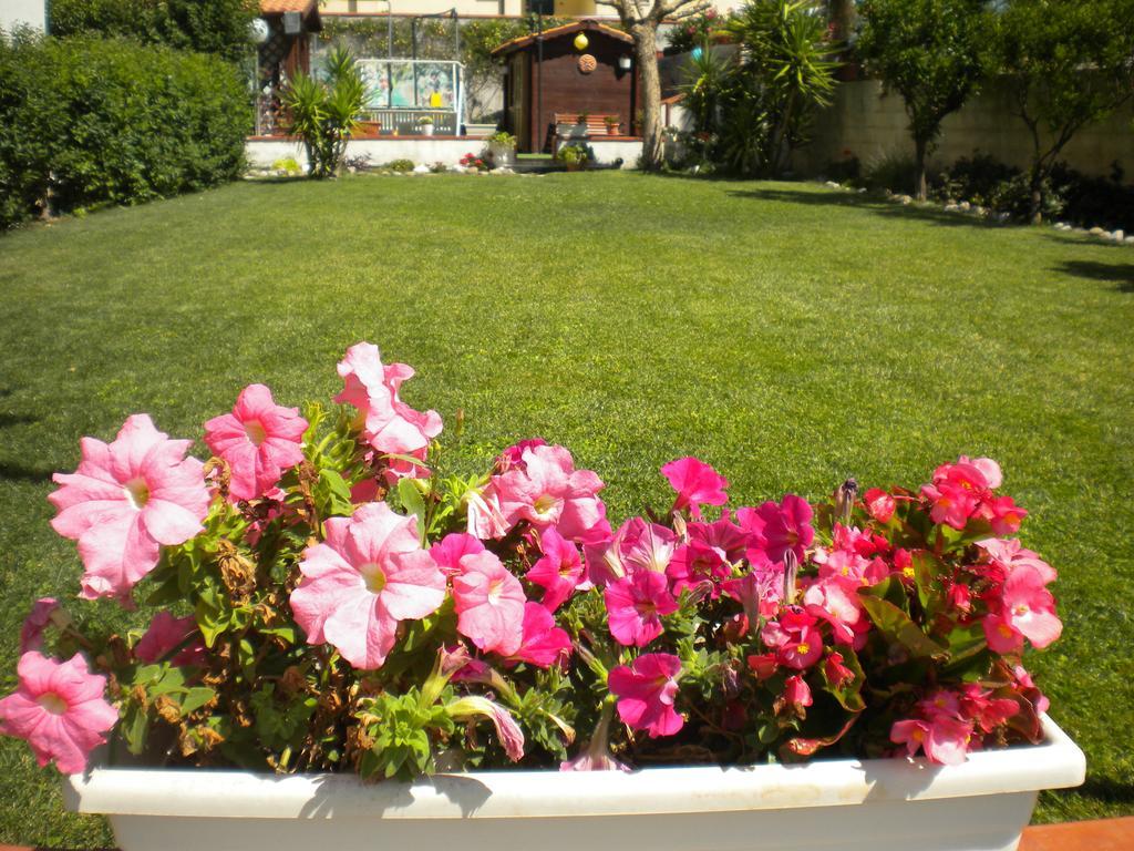 Casa Vacanze Domusangela Матера Экстерьер фото